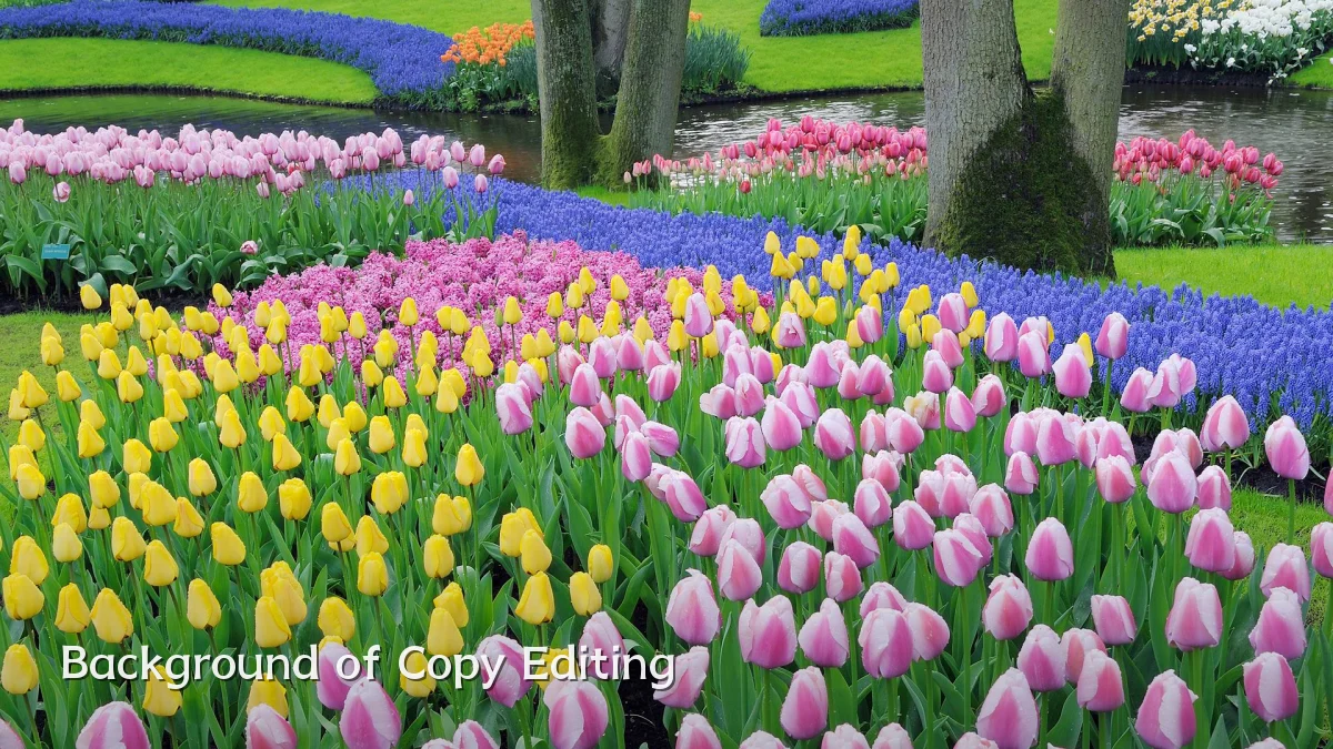 Background of Copy Editing