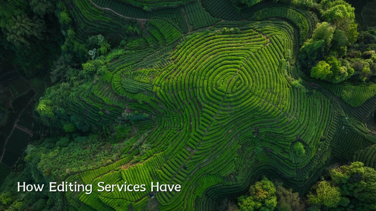 How Editing Services Have