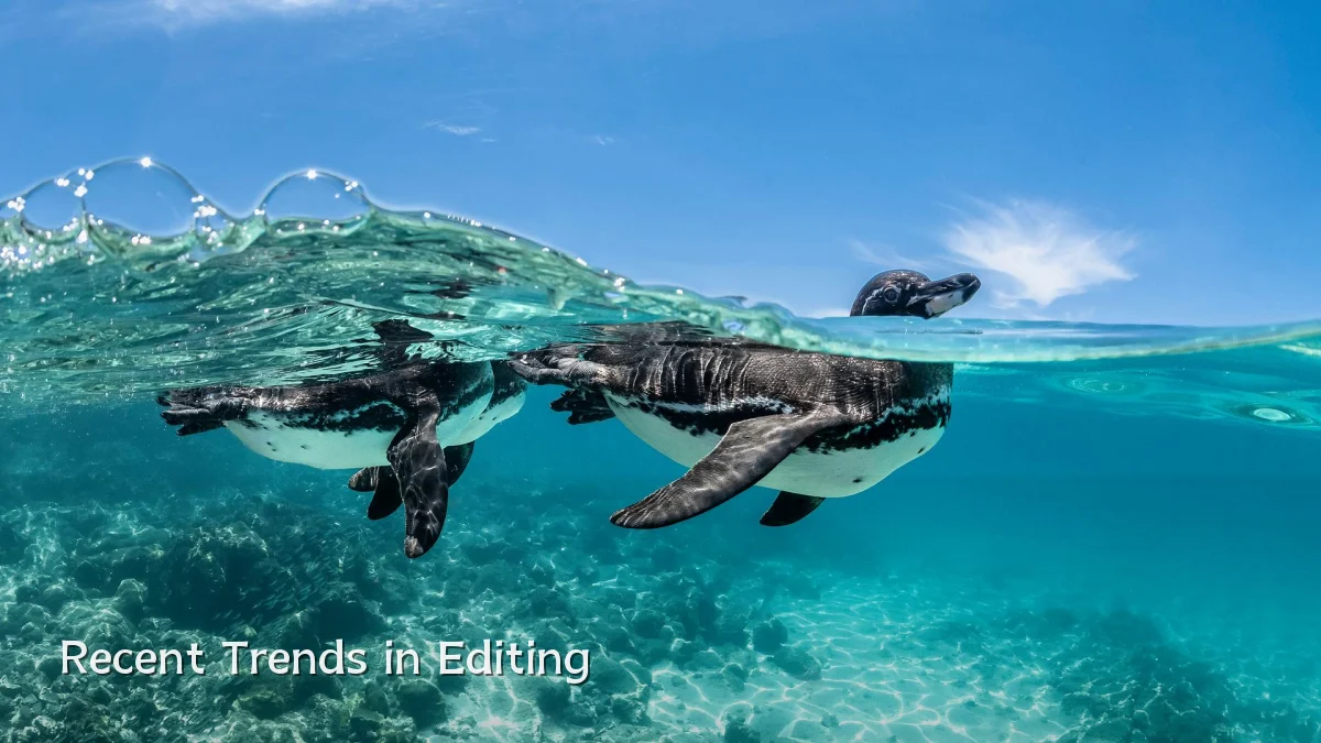 Recent Trends in Editing