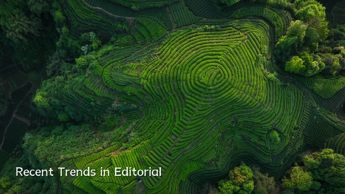 Recent Trends in Editorial