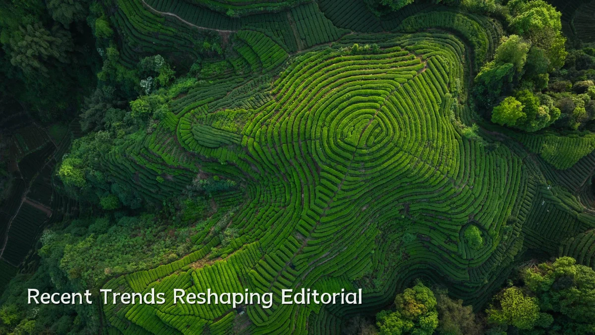Recent Trends Reshaping Editorial